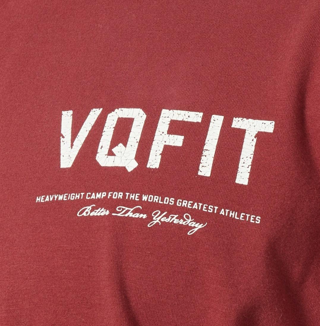 Vanquish VQFIT Distressed Print Brick Red Oversized T Shirt