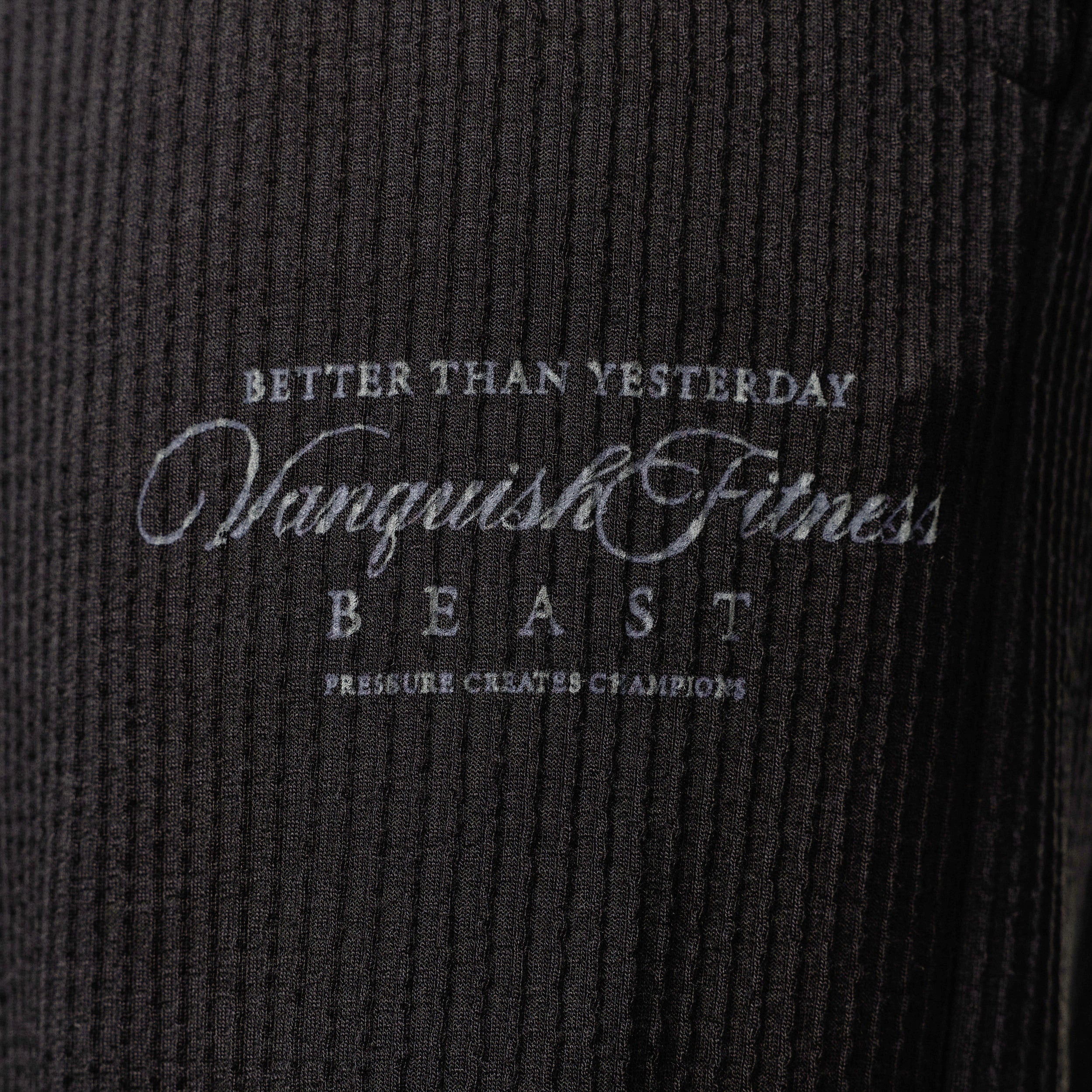 VQ X Jbeast V2 Washed Grey Bodybuilding Pants