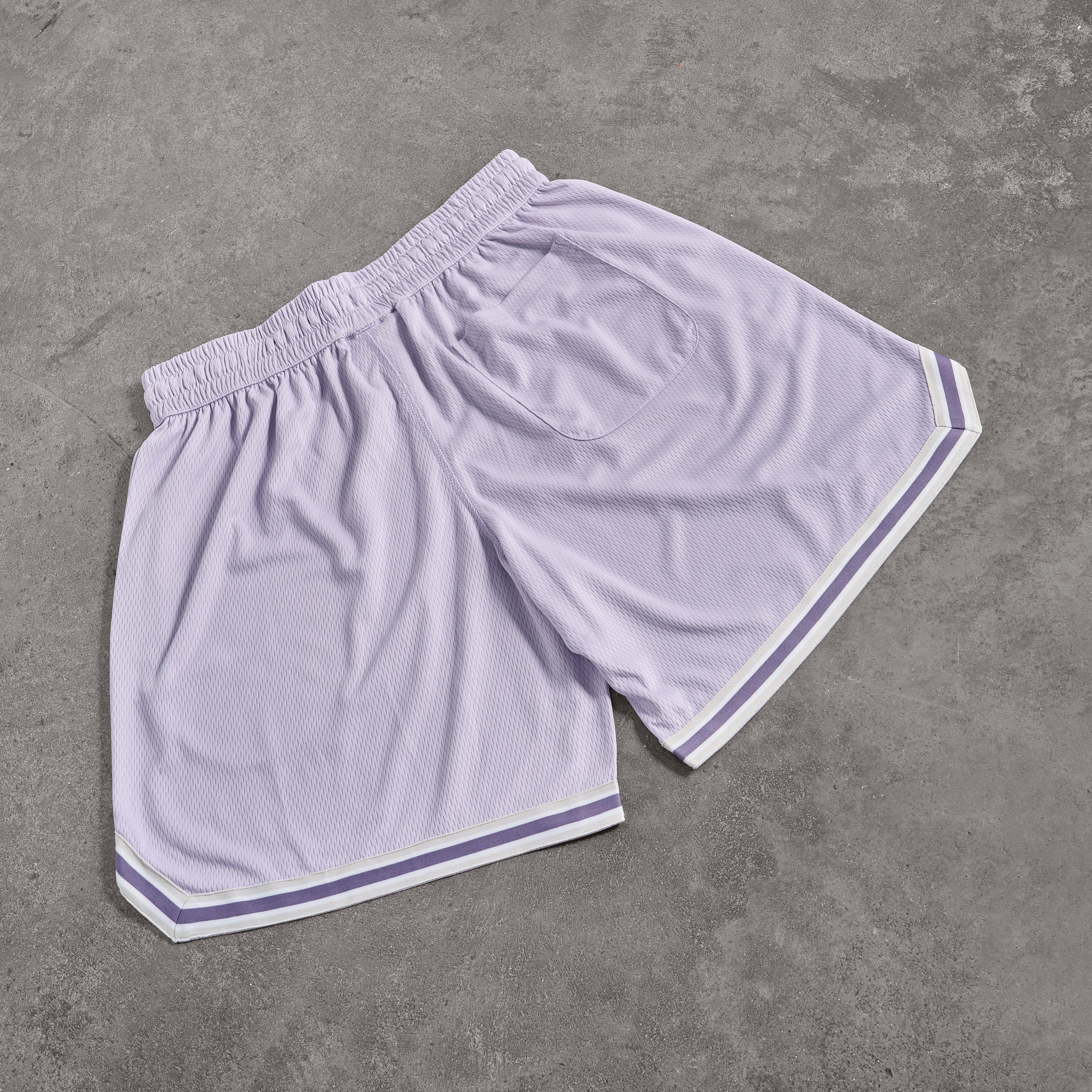 Vanquish Better Than Yesterday Purple Mesh Shorts
