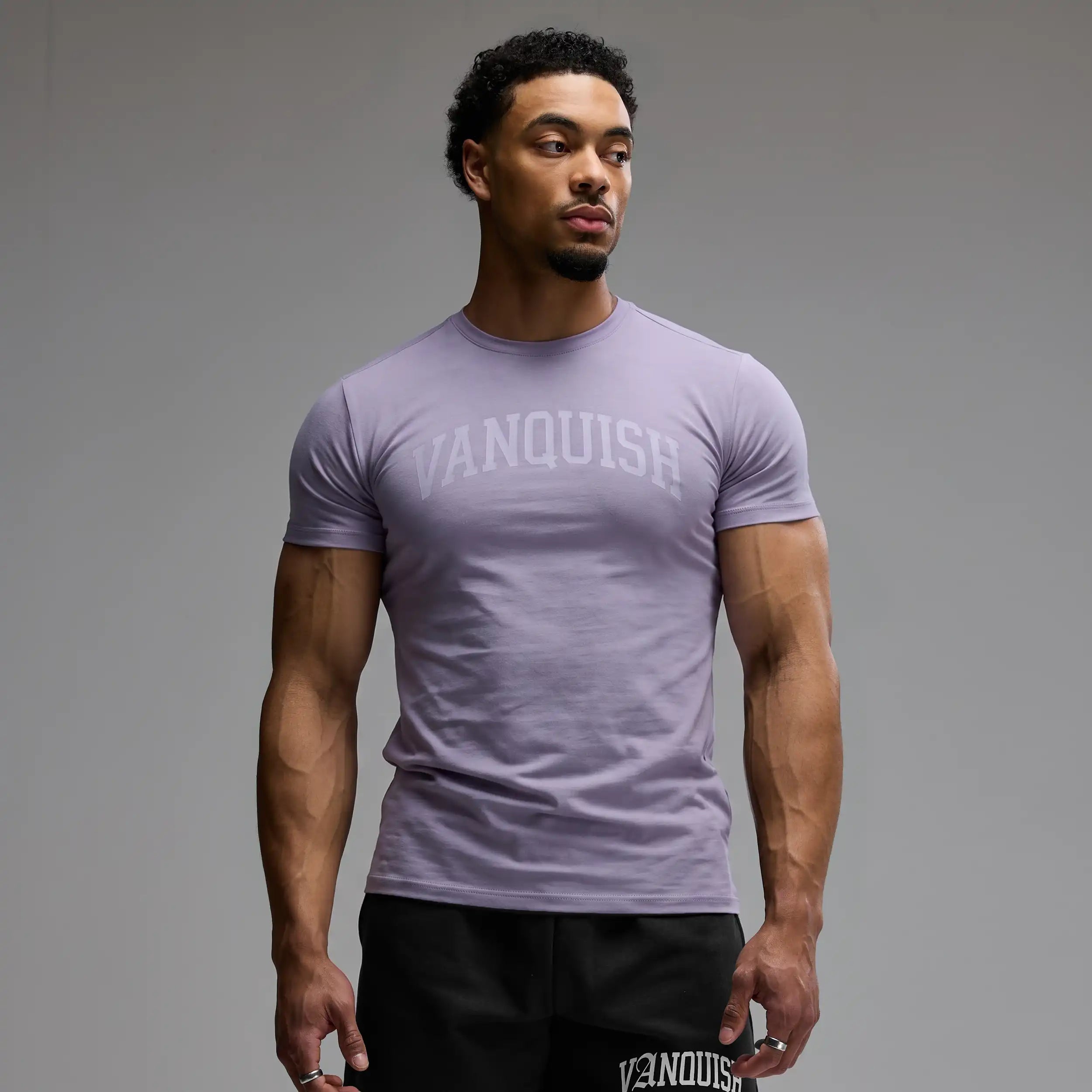 EVOLVE ARCH LILAC SMOKE SLIM FIT T SHIRT