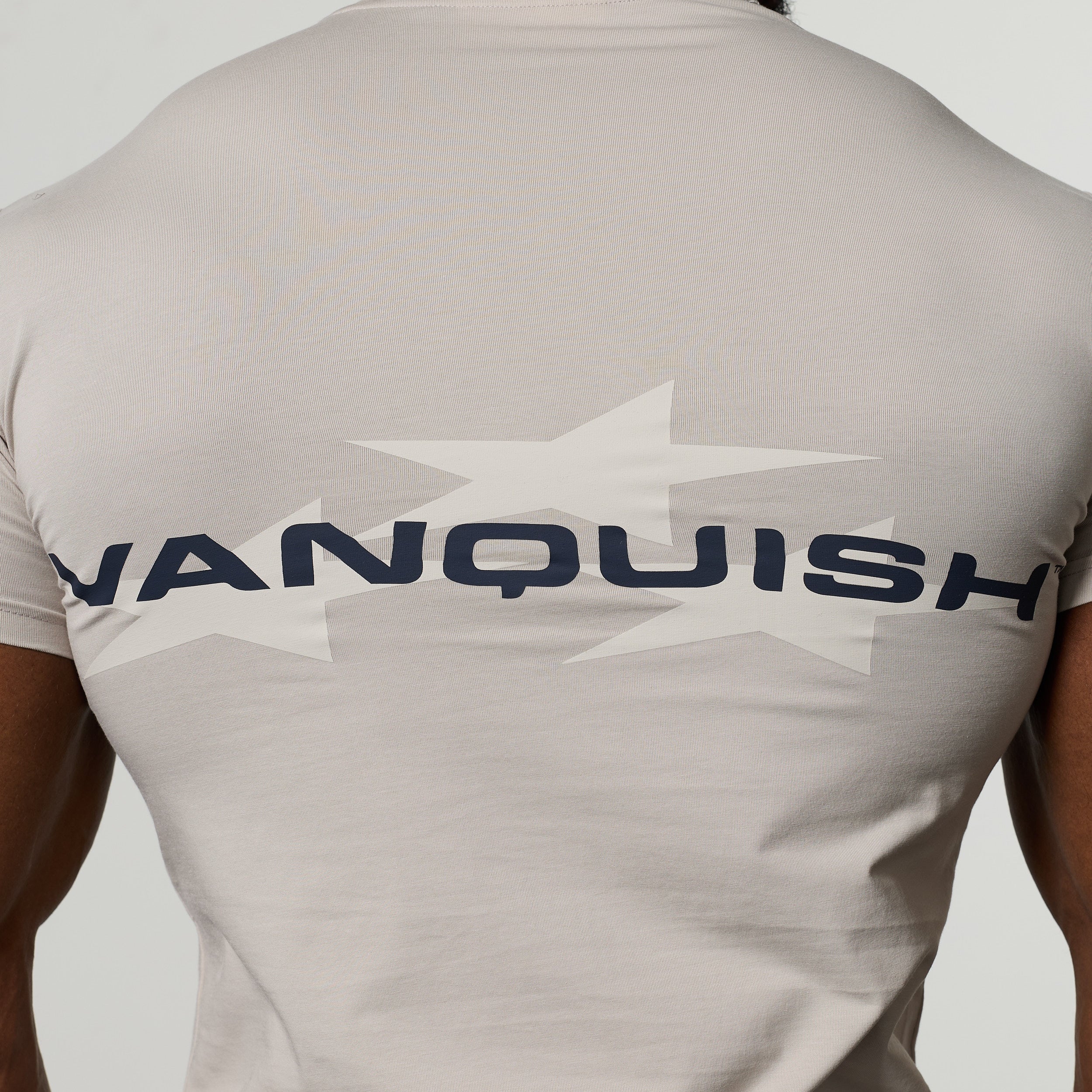 QUICKSTRIKE STONE SLIM FIT T SHIRT