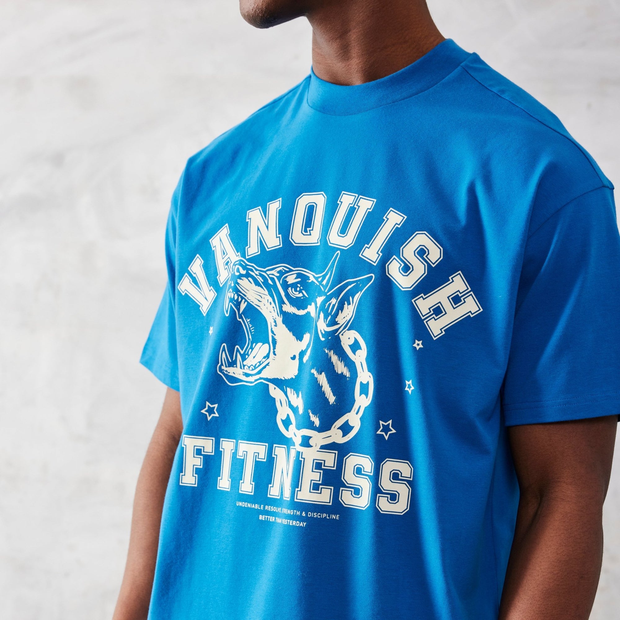 Vanquish TSP Deep Sea Blue Dobermann Oversized T Shirt - Vanquish Fitness