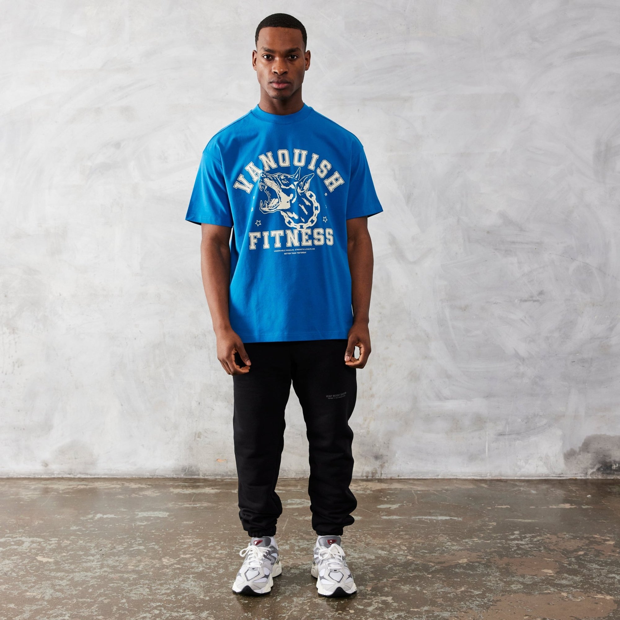 Vanquish TSP Deep Sea Blue Dobermann Oversized T Shirt - Vanquish Fitness